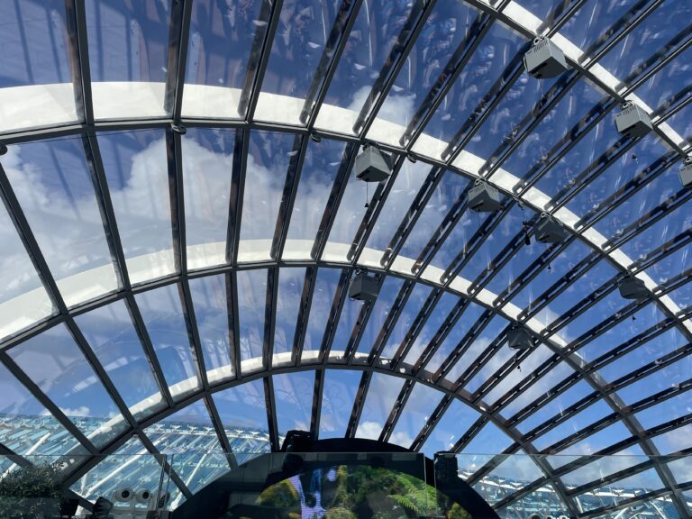 5 Things NOT To Do When Sailing on The Sun Princess