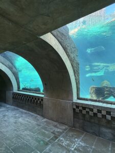 aquarium