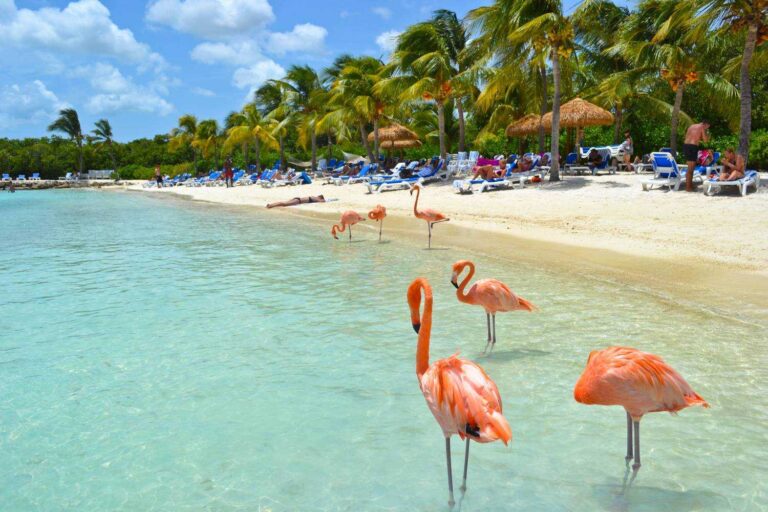 Let`s See Aruba