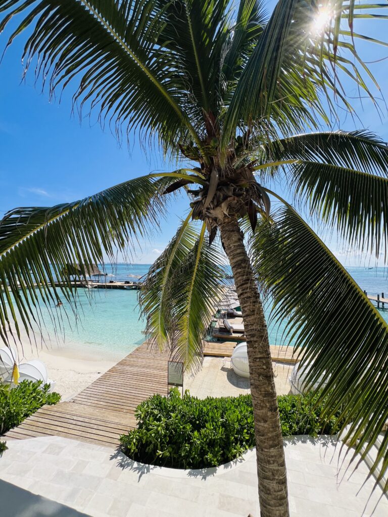 How Choosing the Right Resort Can Completely Change Your Vacation