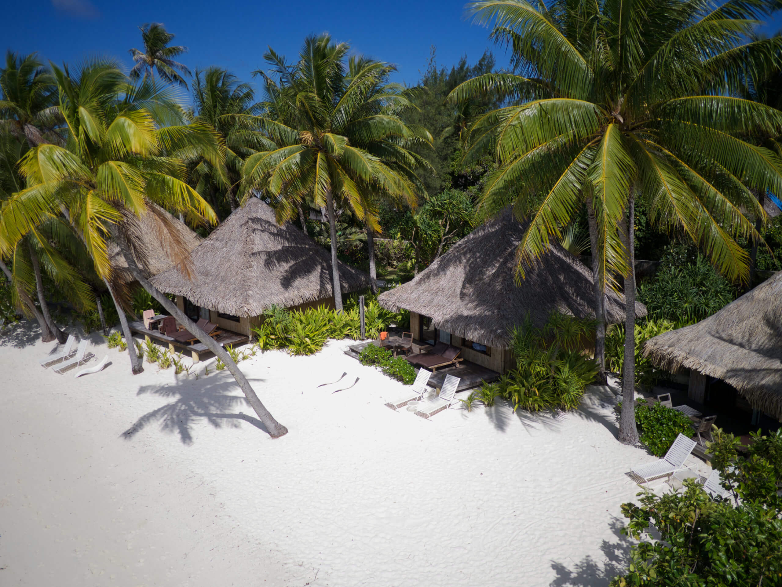 Junior Suite Tropical View King