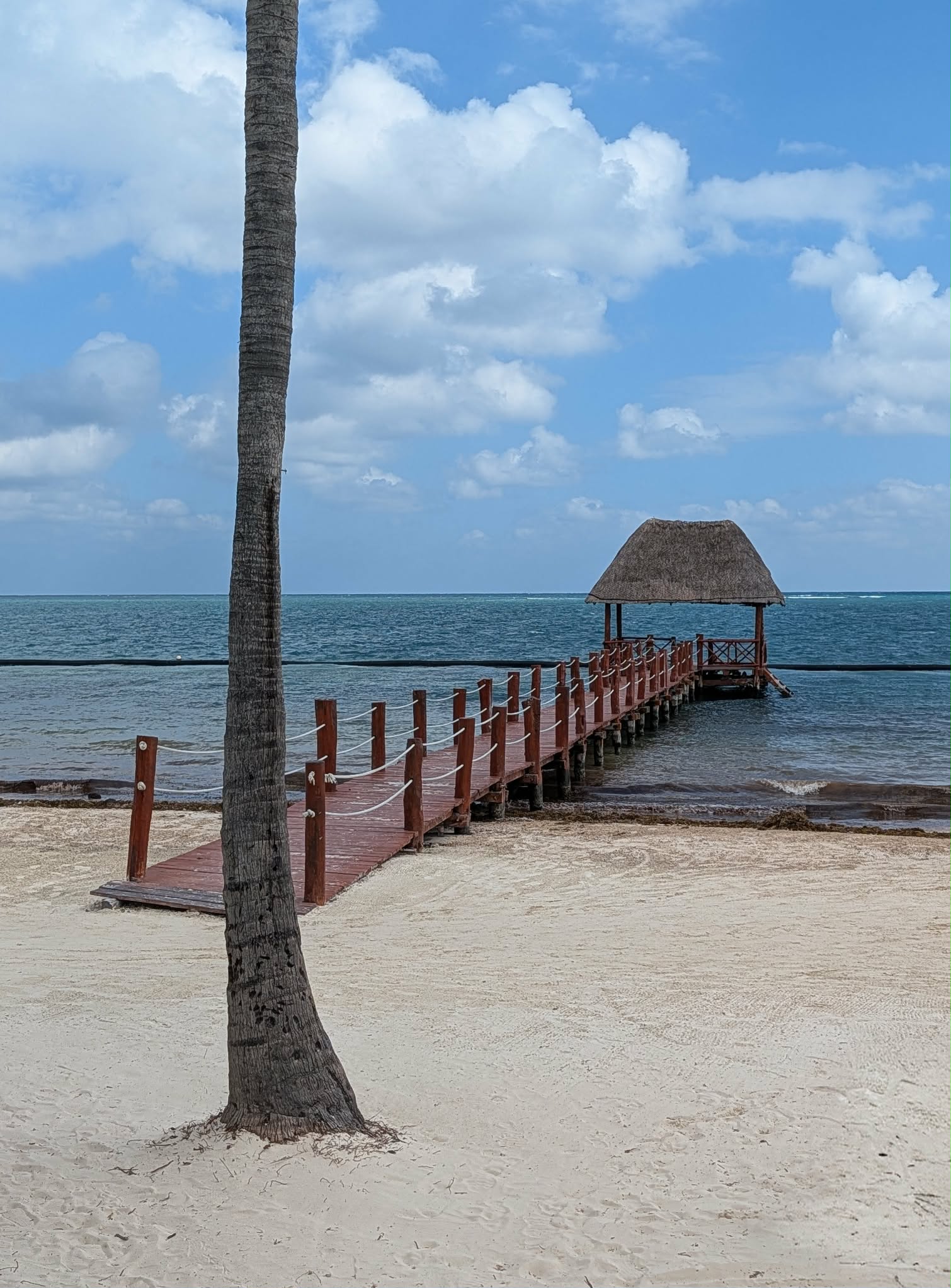 Why Travel Is the Nervous System Reset You Didn’t Know You Needed