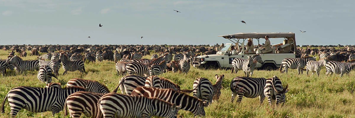 Mastering Luxury Travel with Abercrombie & Kent for Travel Advisors