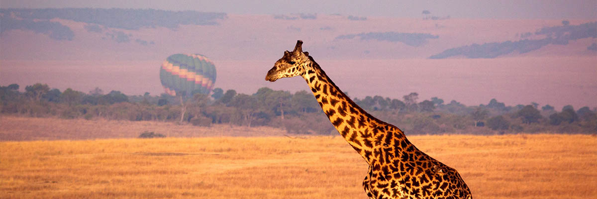 Ultimate Marketing Growth Blueprint for Travel Advisors