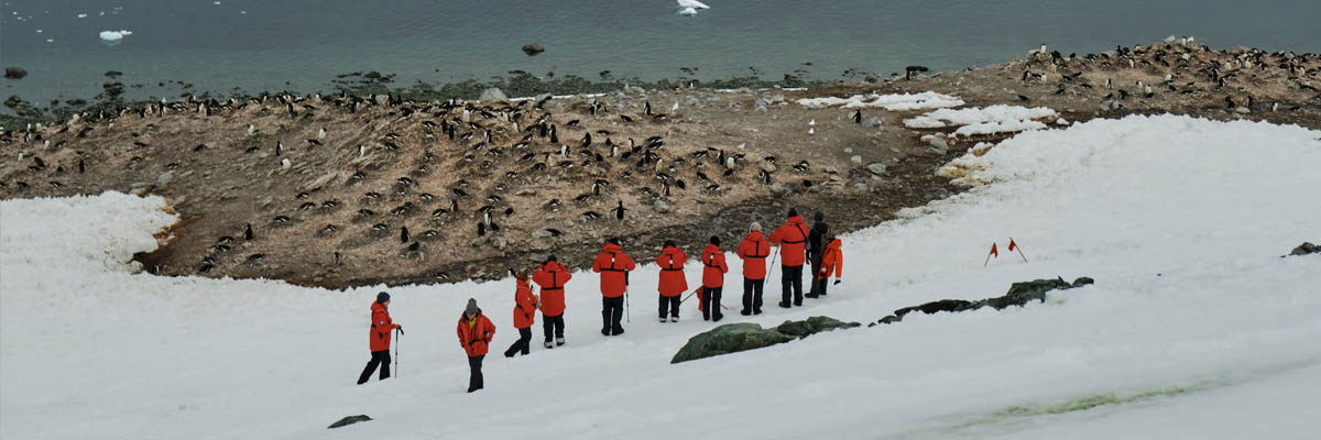 Guide to Crisis Management