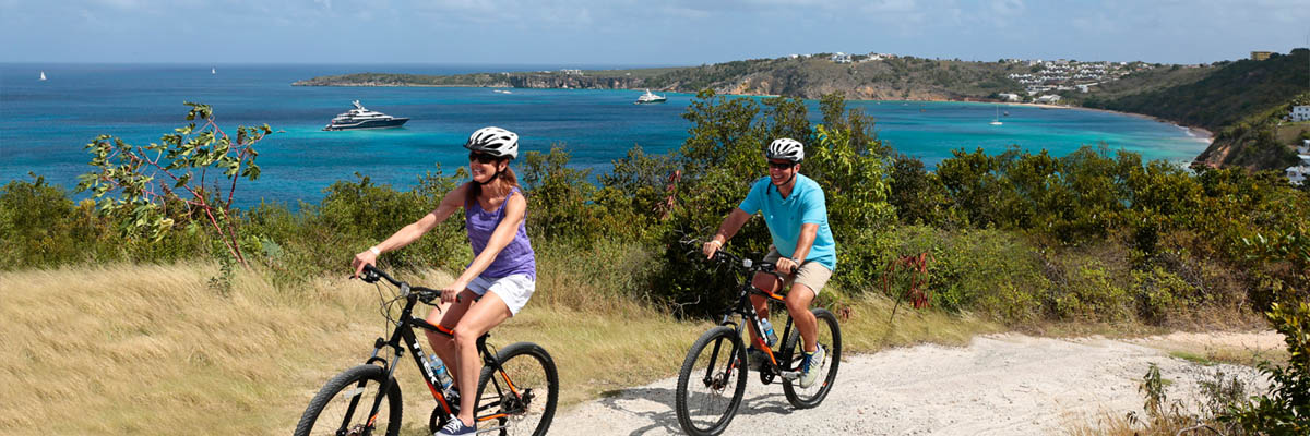 Why Travel Agent Pro is the Ultimate Host Agency for Advisors Who Want to Lead the Industry