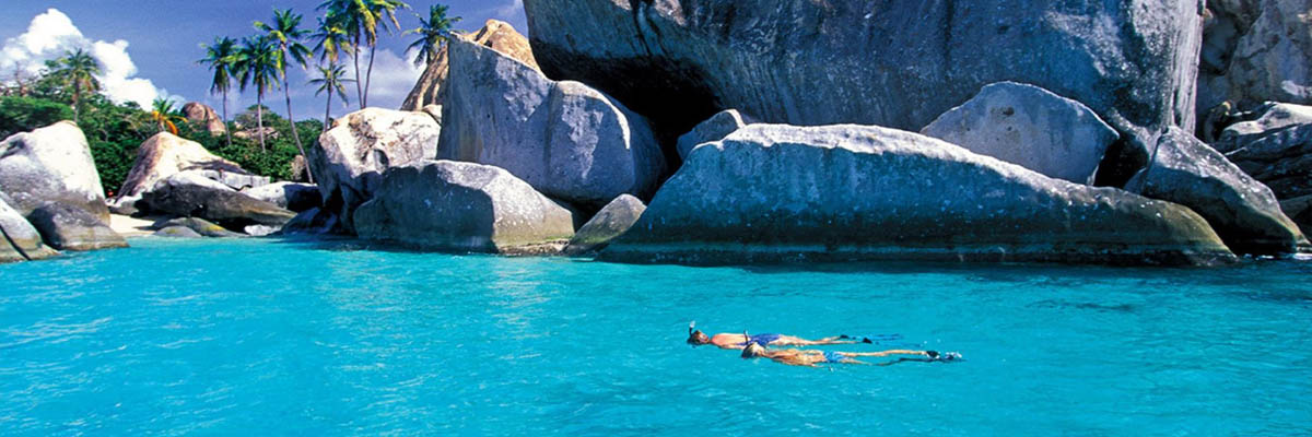 Why Travel Agent Pro is the Ultimate Host Agency for Advisors Who Want to Lead the Industry