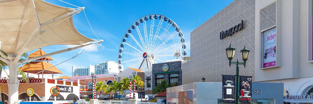 6. Core System 4: Operations and SOPs