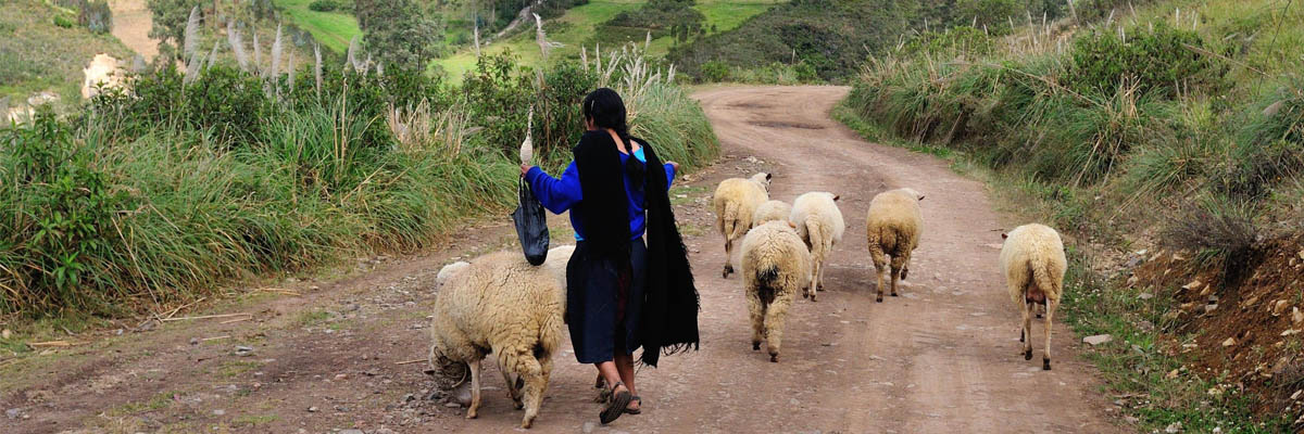 Guide to Marketing for Travel Agents