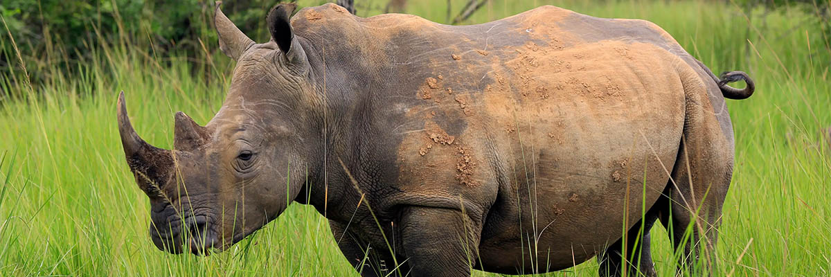 Guide to Social Media Marketing for Travel Agents