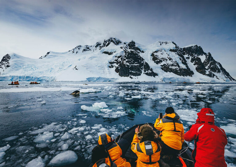 From Zero to Polar Pro: How Advisors Are Turning Antarctica Trips into Massive Commissions