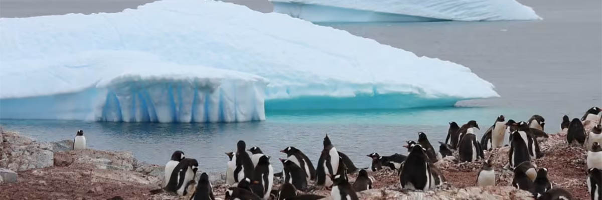 3. The Expedition Specialists: Boots on the Ice