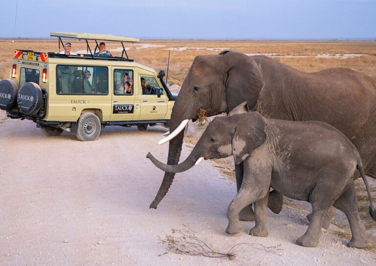 Turn Your Biggest Fans Into Free Advertising - A Travel Advisor’s Playbook for User-Generated Content
