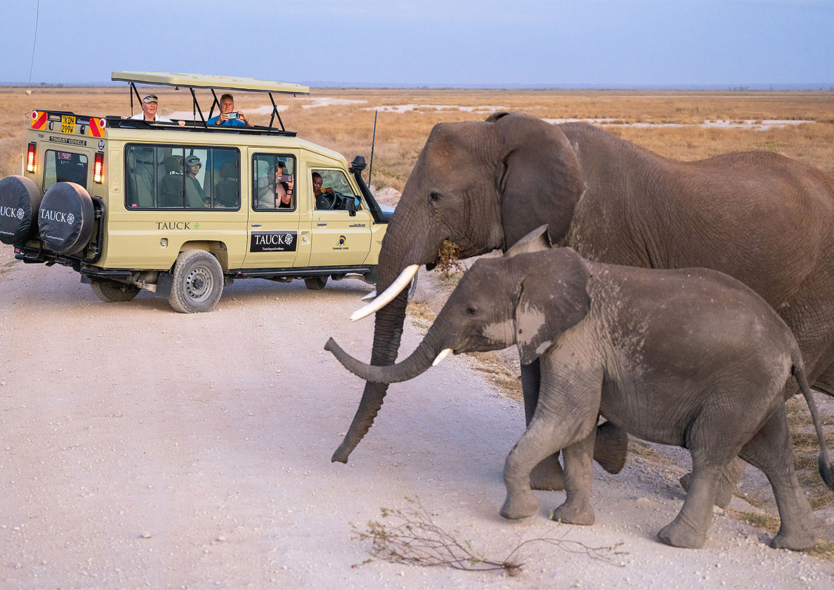 Turn Your Biggest Fans Into Free Advertising - A Travel Advisor’s Playbook for User-Generated Content