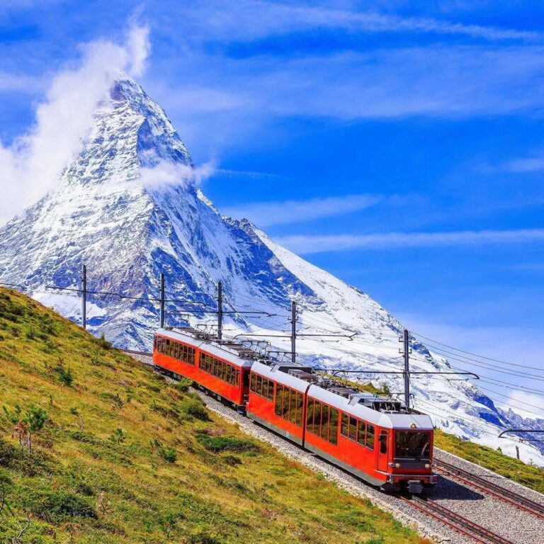 Luxury River Cruise AND Guided Touring!