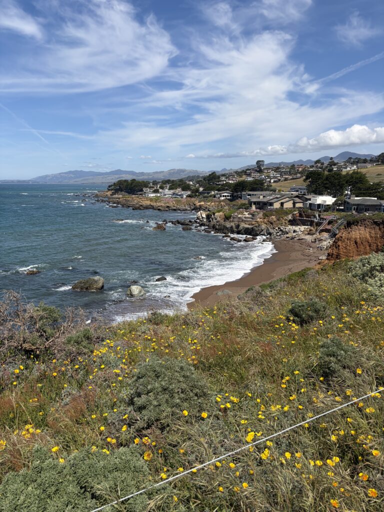 A Highlight of Cambria CA
