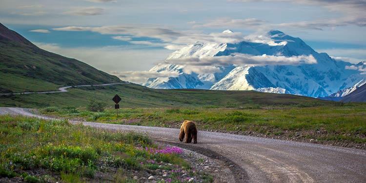 How Do You Want to Experience Alaska?