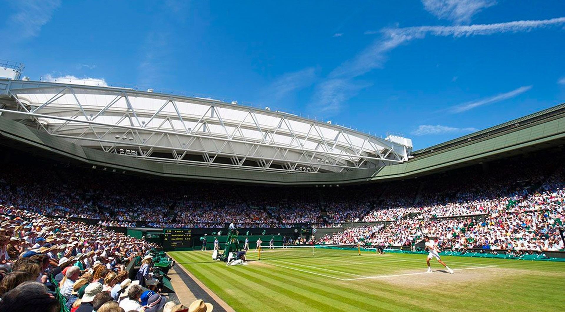 Wimbledon Daily Order of Play and Grass Court Action