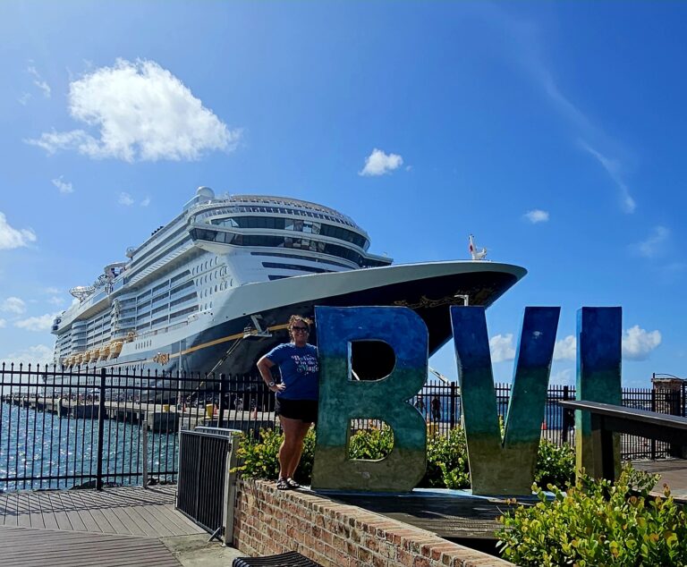Which Cruise Line Is Best for You? | Cruise Travel Advisor Guide