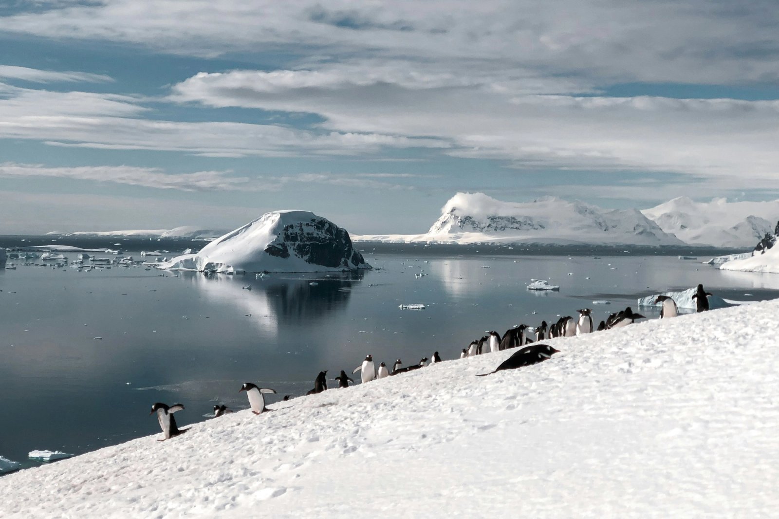 Abercrombie & Kent guests cruising in a Zodiac alongside electric-blue tabular icebergs
