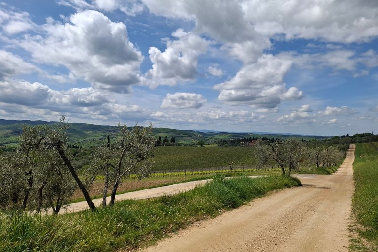 Affinity group travelers enjoying a private sommelier vineyard tour in Tuscany organized by a travel advisor