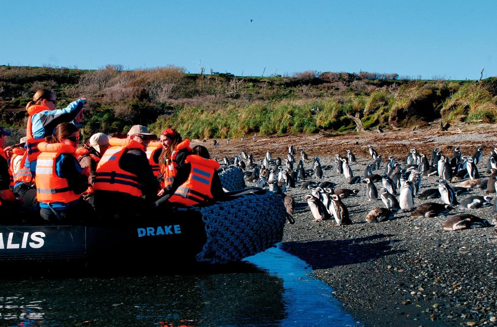 Zodiac boat touring rocky cliffs crowded with Cormorants and penguins at Tucker Islets
