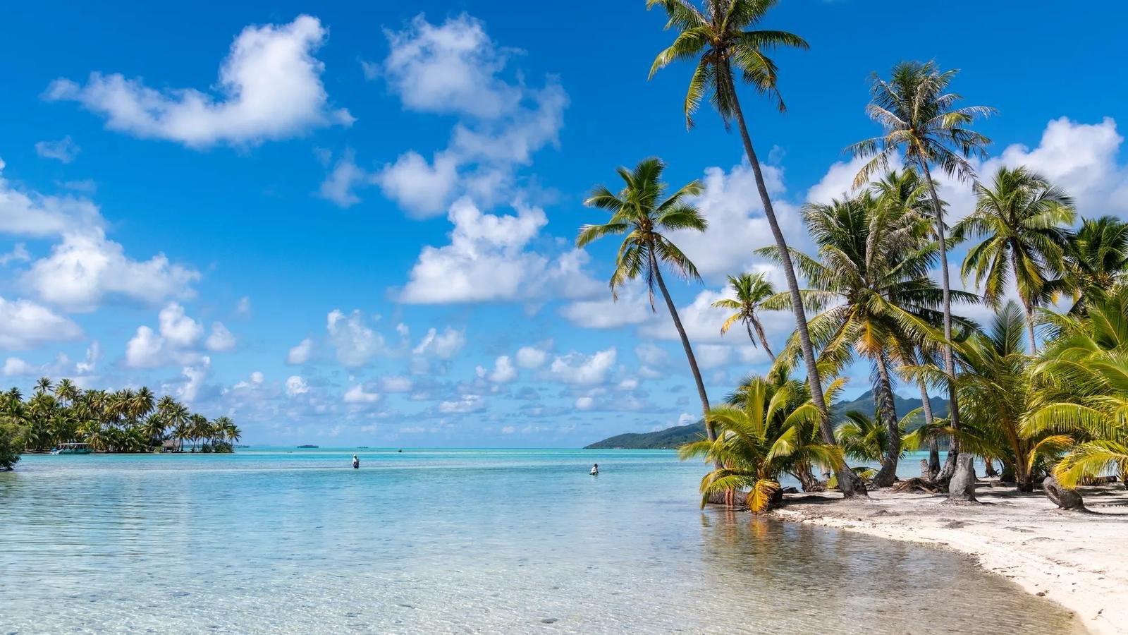 Guests enjoying the pristine turquoise lagoon and white sands of Motu Mahana in Taha'a