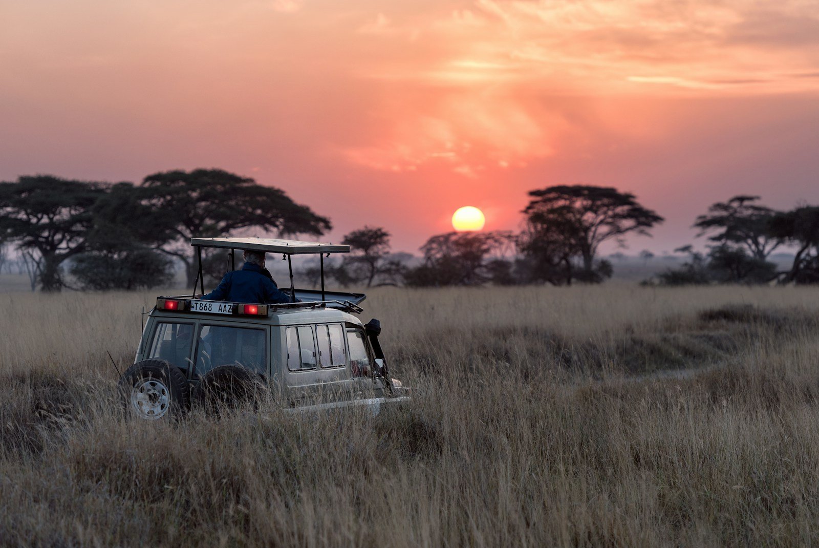 African wildlife and safari vehicle on the Serengeti savannah