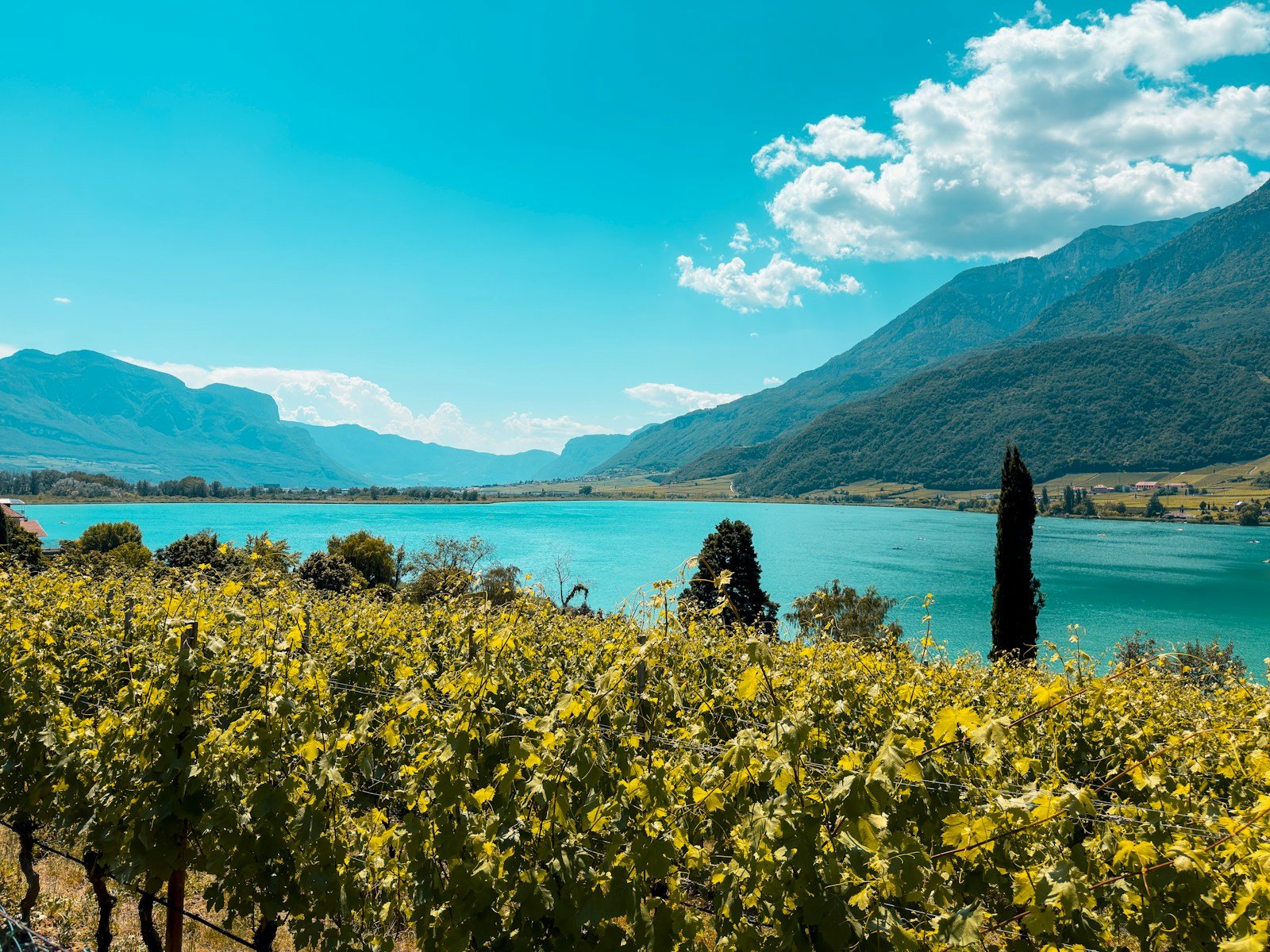 Panoramic scenic view of vineyards, winding river waters, and distant mountains during a European river cruise