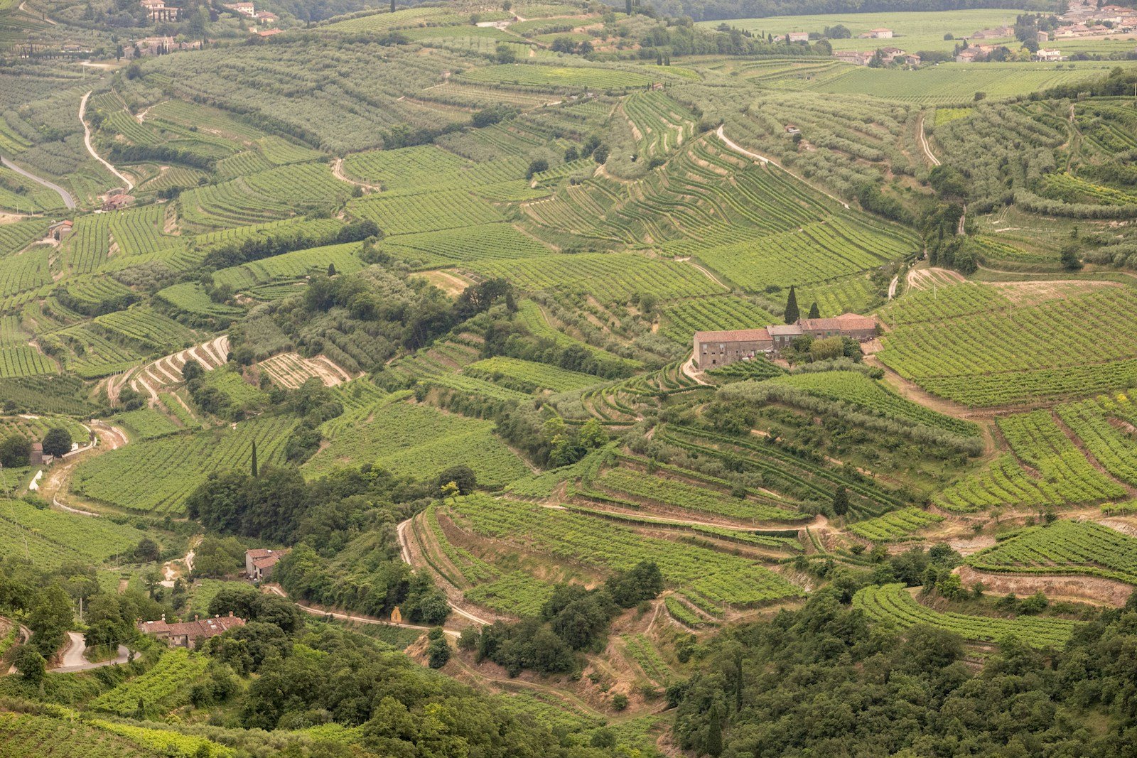 Sweeping terraced vineyards on rolling hills overlooking historic European river valleys