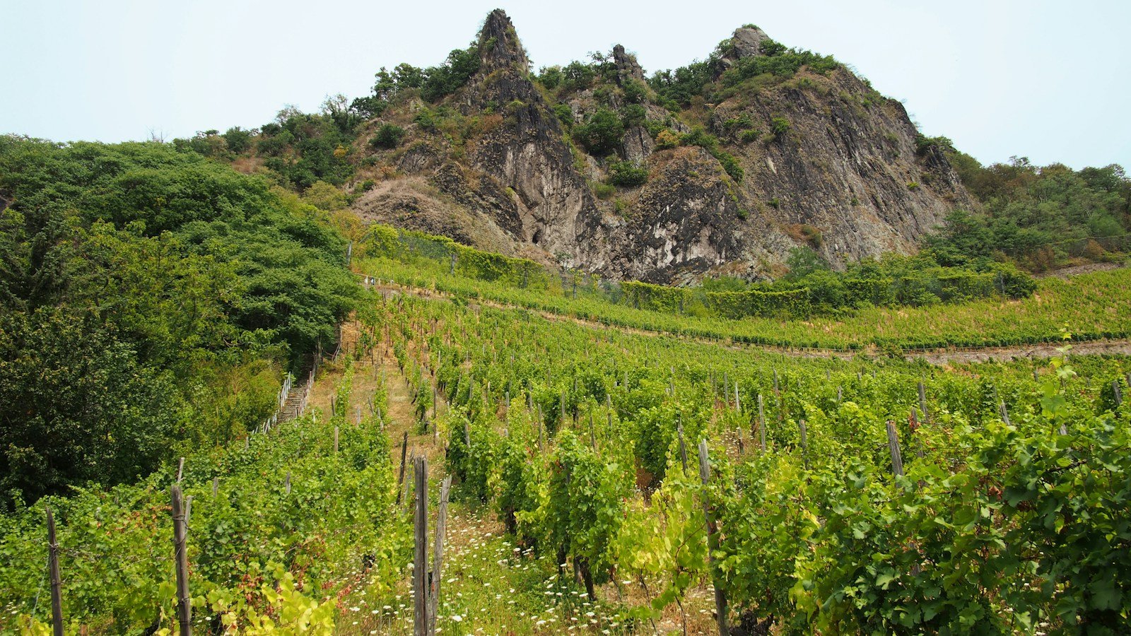 Dramatic rocky crag and vineyards along a scenic European river gorge during a Trafalgar excursion